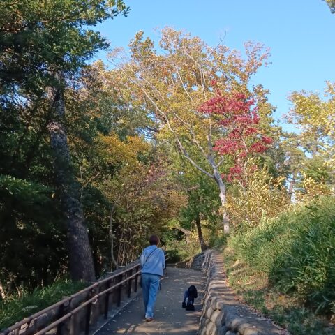 公園デートにおすすめ！《多摩川台公園》（in田園調布・多摩川駅）